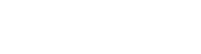 Virtual Reunion Logo